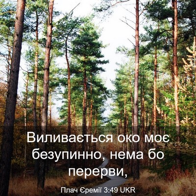 Picture 03 - Плач Єремії 3:49 UKR - Виливається око моє - Bible Verse Picture