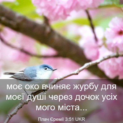 Picture 03 - Плач Єремії 3:51 UKR - моє око вчиняє журбу для - Bible Verse Picture