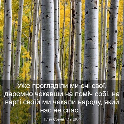 Picture 03 - Плач Єремії 4:17 UKR - Уже прогляділи ми очі свої, - Bible Verse Picture