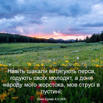 Picture 03 - Плач Єремії 4:3 UKR - Навіть шакали витягують - Bible Verse Picture
