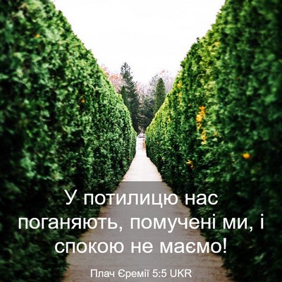 Picture 03 - Плач Єремії 5:5 UKR - У потилицю нас поганяють, - Bible Verse Picture
