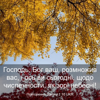 Picture 03 - Повторення Закону 1:10 UKR - Господь, Бог ваш, розмножив - Bible Verse Picture