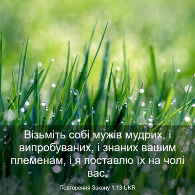 Picture 03 - Повторення Закону 1:13 UKR - Візьміть собі мужів - Bible Verse Picture