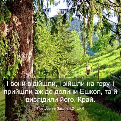 Picture 03 - Повторення Закону 1:24 UKR - І вони відійшли, і зійшли - Bible Verse Picture