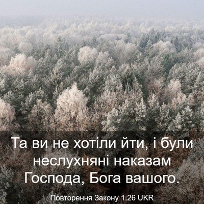 Picture 03 - Повторення Закону 1:26 UKR - Та ви не хотіли йти, і були - Bible Verse Picture