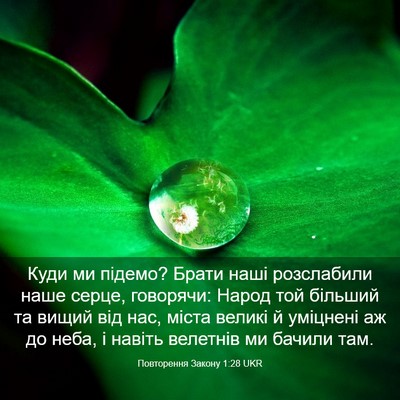 Picture 03 - Повторення Закону 1:28 UKR - Куди ми підемо? Брати наші - Bible Verse Picture