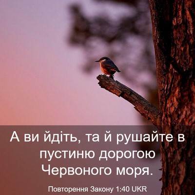 Picture 03 - Повторення Закону 1:40 UKR - А ви йдіть, та й рушайте в - Bible Verse Picture