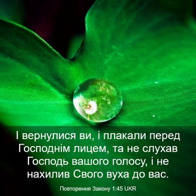 Picture 03 - Повторення Закону 1:45 UKR - І вернулися ви, і плакали - Bible Verse Picture