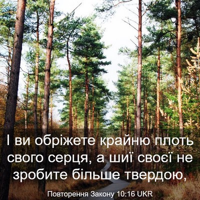 Picture 03 - Повторення Закону 10:16 UKR - І ви обріжете крайню плоть - Bible Verse Picture