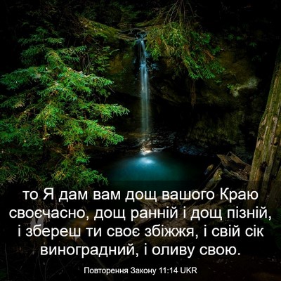 Picture 03 - Повторення Закону 11:14 UKR - то Я дам вам дощ вашого - Bible Verse Picture