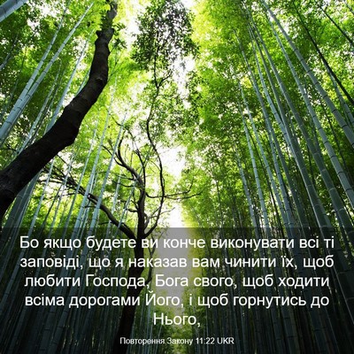 Picture 03 - Повторення Закону 11:22 UKR - Бо якщо будете ви конче - Bible Verse Picture