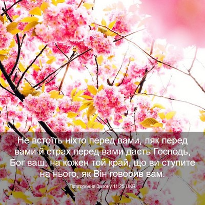 Picture 03 - Повторення Закону 11:25 UKR - Не встоїть ніхто перед - Bible Verse Picture