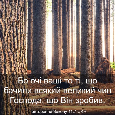 Picture 03 - Повторення Закону 11:7 UKR - Бо очі ваші то ті, що бачили - Bible Verse Picture