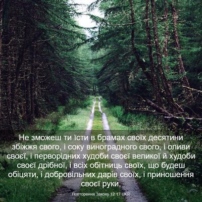 Picture 03 - Повторення Закону 12:17 UKR - Не зможеш ти їсти в брамах - Bible Verse Picture