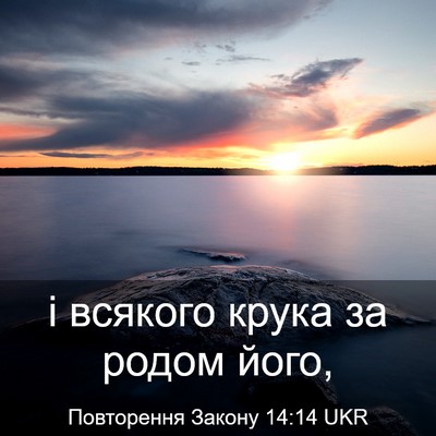 Picture 03 - Повторення Закону 14:14 UKR - і всякого крука за родом - Bible Verse Picture