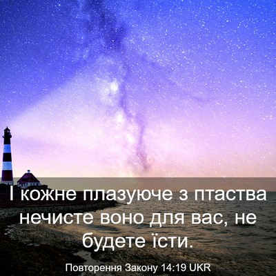 Picture 03 - Повторення Закону 14:19 UKR - І кожне плазуюче з птаства - Bible Verse Picture