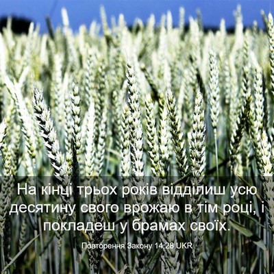 Picture 03 - Повторення Закону 14:28 UKR - На кінці трьох років - Bible Verse Picture