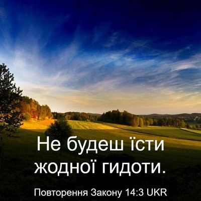 Picture 03 - Повторення Закону 14:3 UKR - Не будеш їсти жодної - Bible Verse Picture