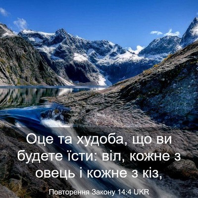 Picture 03 - Повторення Закону 14:4 UKR - Оце та худоба, що ви будете - Bible Verse Picture