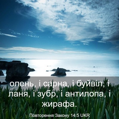 Picture 03 - Повторення Закону 14:5 UKR - олень, і сарна, і буйвіл, і - Bible Verse Picture