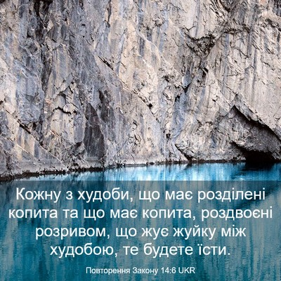 Picture 03 - Повторення Закону 14:6 UKR - Кожну з худоби, що має - Bible Verse Picture