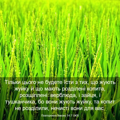 Picture 03 - Повторення Закону 14:7 UKR - Тільки цього не будете - Bible Verse Picture
