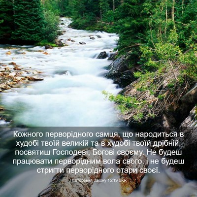 Picture 03 - Повторення Закону 15:19 UKR - Кожного перворідного - Bible Verse Picture