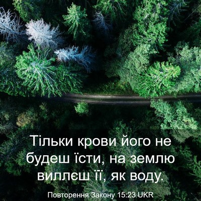 Picture 03 - Повторення Закону 15:23 UKR - Тільки крови його не будеш - Bible Verse Picture