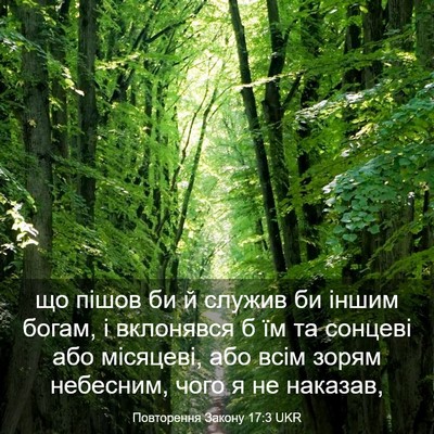 Picture 03 - Повторення Закону 17:3 UKR - що пішов би й служив би - Bible Verse Picture