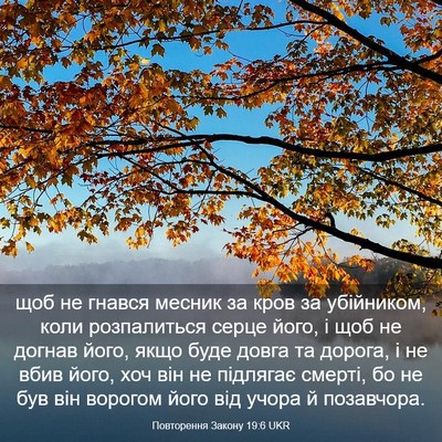 Picture 03 - Повторення Закону 19:6 UKR - щоб не гнався месник за - Bible Verse Picture
