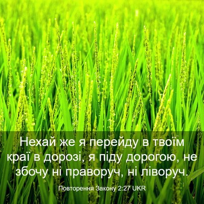 Picture 03 - Повторення Закону 2:27 UKR - Нехай же я перейду в твоїм - Bible Verse Picture