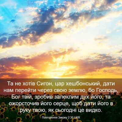 Picture 03 - Повторення Закону 2:30 UKR - Та не хотів Сигон, цар - Bible Verse Picture