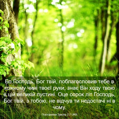 Picture 03 - Повторення Закону 2:7 UKR - Бо Господь, Бог твій, - Bible Verse Picture