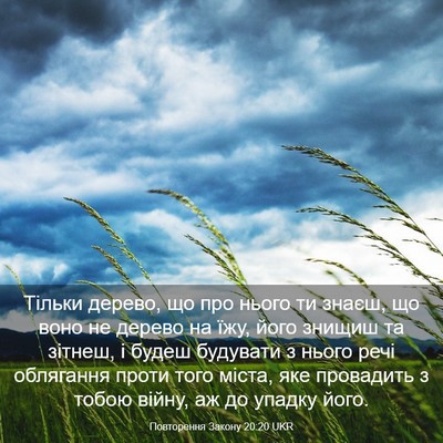 Picture 03 - Повторення Закону 20:20 UKR - Тільки дерево, що про нього - Bible Verse Picture