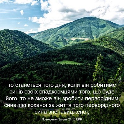 Picture 03 - Повторення Закону 21:16 UKR - то станеться того дня, коли - Bible Verse Picture