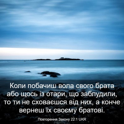 Picture 03 - Повторення Закону 22:1 UKR - Коли побачиш вола свого - Bible Verse Picture