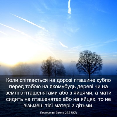 Picture 03 - Повторення Закону 22:6 UKR - Коли спіткається на дорозі - Bible Verse Picture