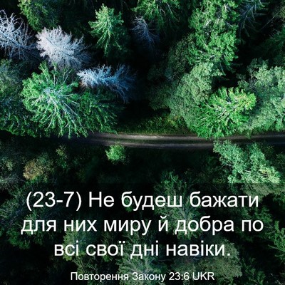 Picture 03 - Повторення Закону 23:6 UKR - (23-7) Не будеш бажати для них - Bible Verse Picture
