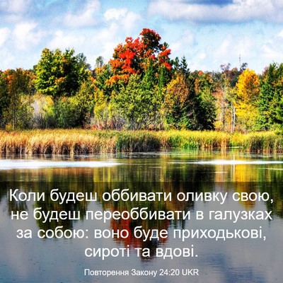 Picture 03 - Повторення Закону 24:20 UKR - Коли будеш оббивати оливку - Bible Verse Picture