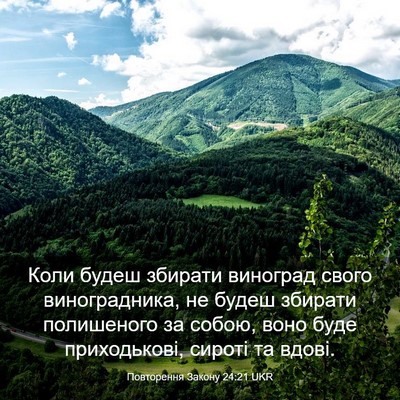 Picture 03 - Повторення Закону 24:21 UKR - Коли будеш збирати - Bible Verse Picture