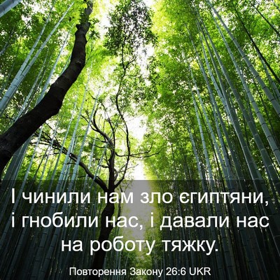 Picture 03 - Повторення Закону 26:6 UKR - І чинили нам зло єгиптяни, - Bible Verse Picture