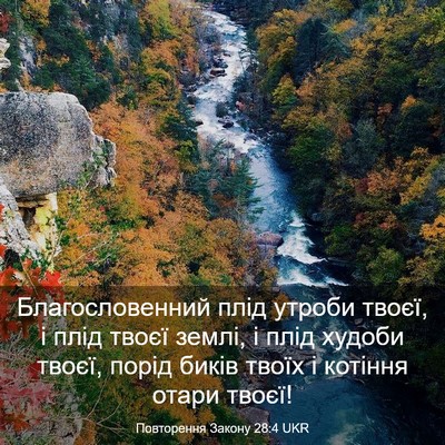 Picture 03 - Повторення Закону 28:4 UKR - Благословенний плід - Bible Verse Picture