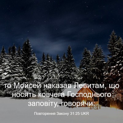 Picture 03 - Повторення Закону 31:25 UKR - то Мойсей наказав Левитам, - Bible Verse Picture