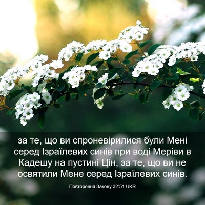 Picture 03 - Повторення Закону 32:51 UKR - за те, що ви спроневірилися - Bible Verse Picture
