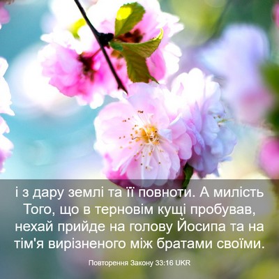 Picture 03 - Повторення Закону 33:16 UKR - і з дару землі та її - Bible Verse Picture