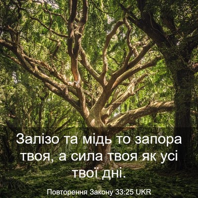 Picture 03 - Повторення Закону 33:25 UKR - Залізо та мідь то запора - Bible Verse Picture