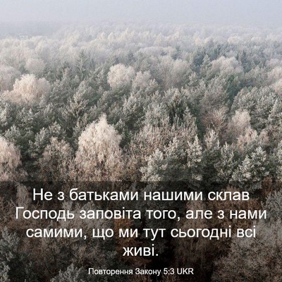 Picture 03 - Повторення Закону 5:3 UKR - Не з батьками нашими склав - Bible Verse Picture