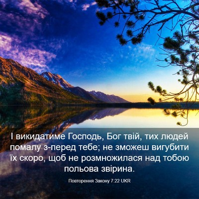 Picture 03 - Повторення Закону 7:22 UKR - І викидатиме Господь, Бог - Bible Verse Picture