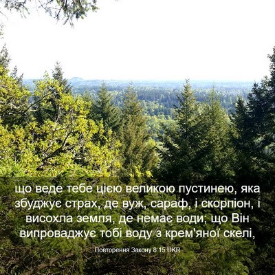 Picture 03 - Повторення Закону 8:15 UKR - що веде тебе цією великою - Bible Verse Picture