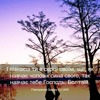 Picture 03 - Повторення Закону 8:5 UKR - І пізнаєш ти в серці своїм, - Bible Verse Picture